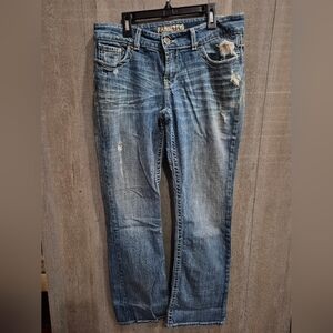BKE Culture Jeans (Womens 30×33 1/2)